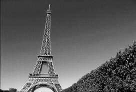 Legal Due Diligence Services in France
